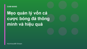 Read more about the article Mẹo quản lý vốn cá cược bóng đá thông minh và hiệu quả